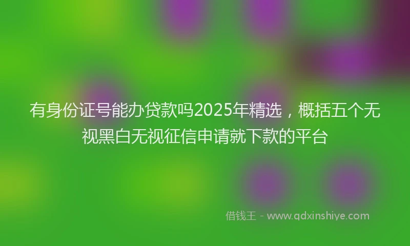 有身份证号能办贷款吗2025年精选，概括五个无视黑白无视征信申请就下款的平台