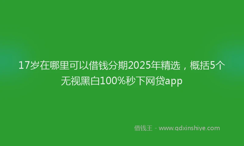 17岁在哪里可以借钱分期2025年精选，概括5个无视黑白100%秒下网贷app