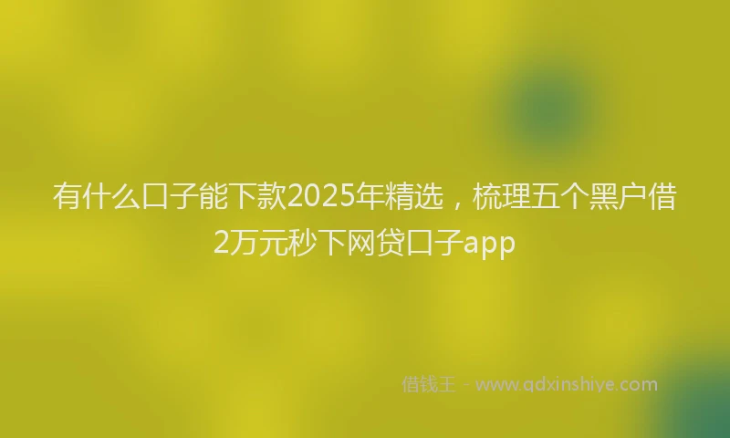 有什么口子能下款2025年精选，梳理五个黑户借2万元秒下网贷口子app