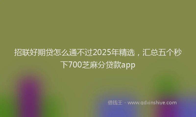 招联好期贷怎么通不过2025年精选，汇总五个秒下700芝麻分贷款app