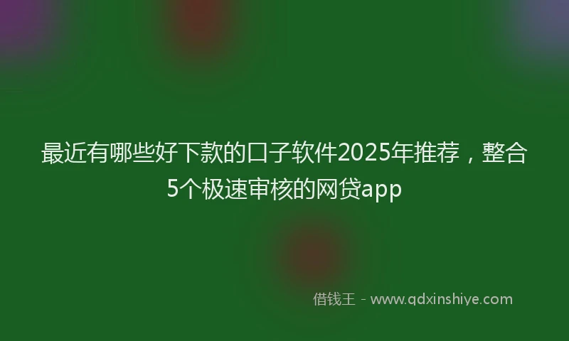 最近有哪些好下款的口子软件2025年推荐，整合5个极速审核的网贷app