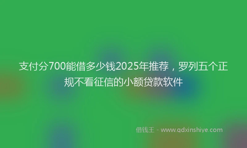 支付分700能借多少钱2025年推荐，罗列五个正规不看征信的小额贷款软件