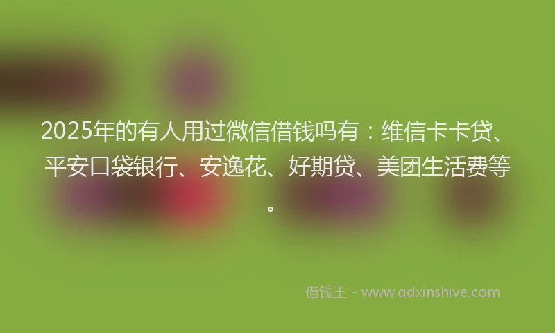 2025年的有人用过微信借钱吗有：维信卡卡贷、平安口袋银行、安逸花、好期贷、美团生活费等。