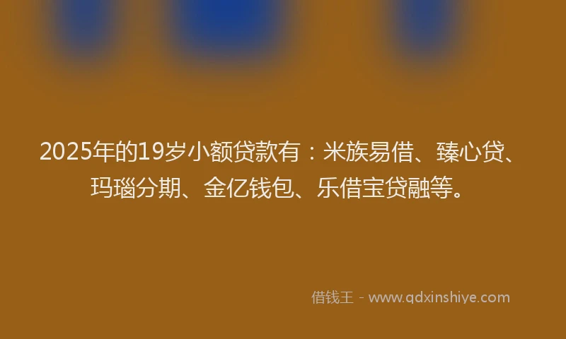 2025年的19岁小额贷款有：米族易借、臻心贷、玛瑙分期、金亿钱包、乐借宝贷融等。