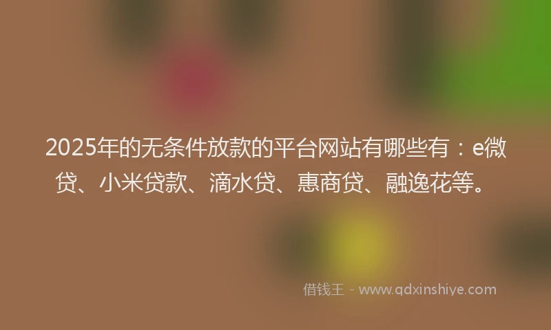 2025年的无条件放款的平台网站有哪些有：e微贷、小米贷款、滴水贷、惠商贷、融逸花等。
