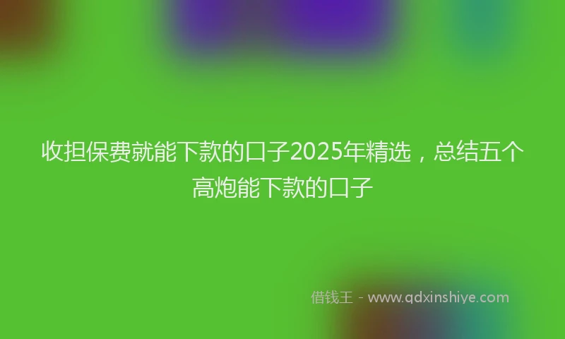 收担保费就能下款的口子2025年精选，总结五个高炮能下款的口子