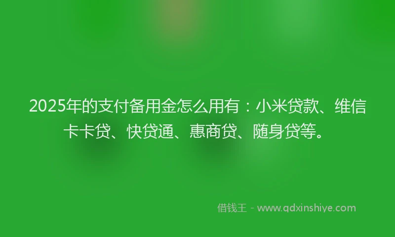 2025年的支付备用金怎么用有：小米贷款、维信卡卡贷、快贷通、惠商贷、随身贷等。