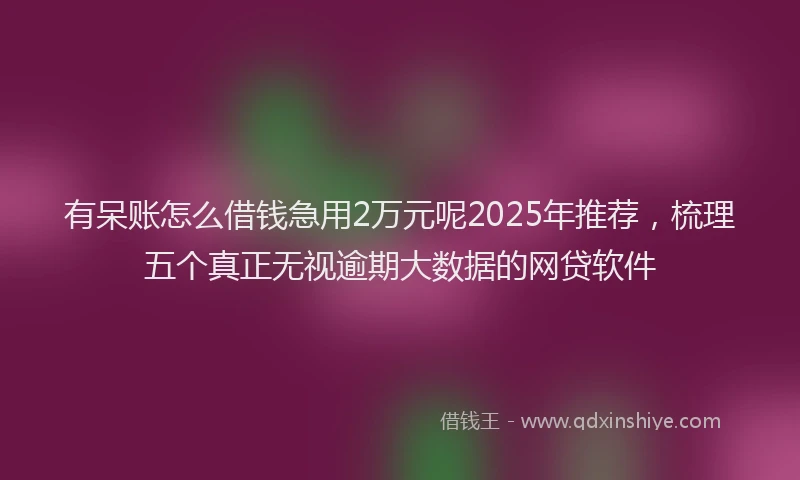 有呆账怎么借钱急用2万元呢2025年推荐，梳理五个真正无视逾期大数据的网贷软件