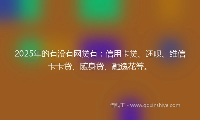 2025年的有没有网贷有：信用卡贷、还呗、维信卡卡贷、随身贷、融逸花等。