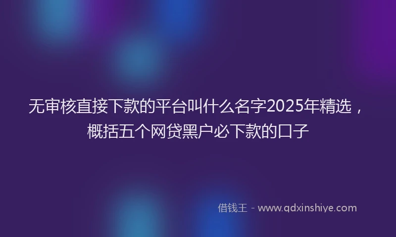 无审核直接下款的平台叫什么名字2025年精选，概括五个网贷黑户必下款的口子