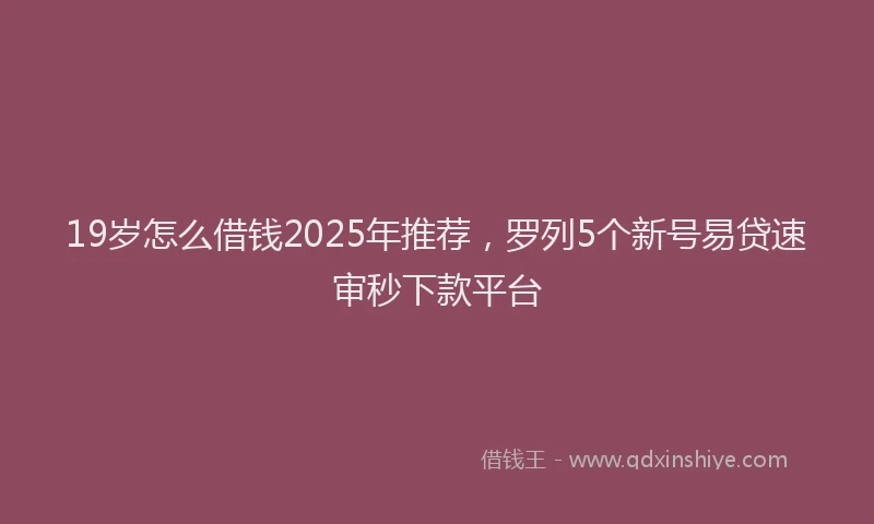 19岁怎么借钱2025年推荐，罗列5个新号易贷速审秒下款平台