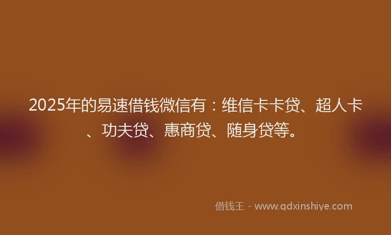 2025年的易速借钱微信有：维信卡卡贷、超人卡、功夫贷、惠商贷、随身贷等。