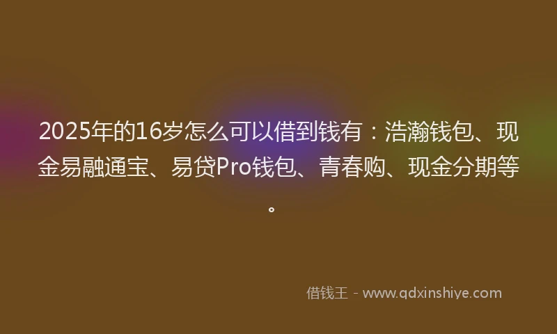 2025年的16岁怎么可以借到钱有：浩瀚钱包、现金易融通宝、易贷Pro钱包、青春购、现金分期等。