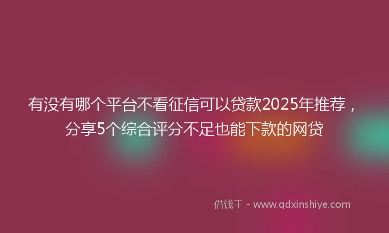 有没有哪个平台不看征信可以贷款2025年推荐，分享5个综合评分不足也能下款的网贷