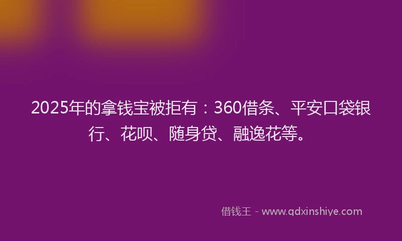 2025年的拿钱宝被拒有：360借条、平安口袋银行、花呗、随身贷、融逸花等。