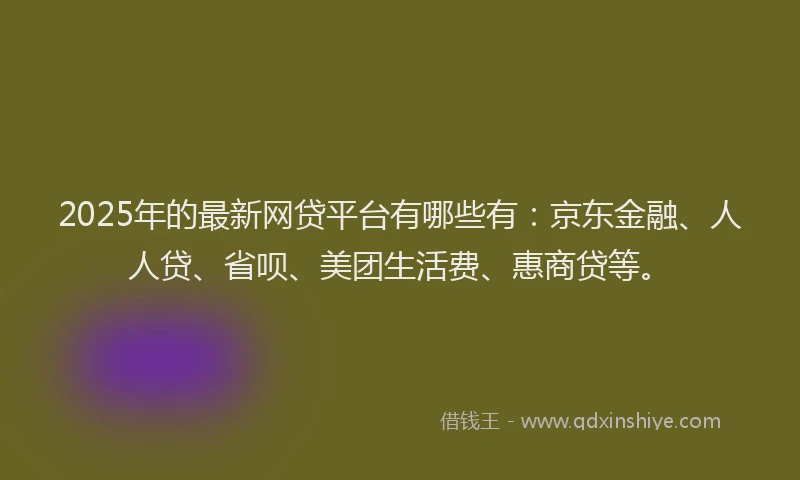 2025年的最新网贷平台有哪些有：京东金融、人人贷、省呗、美团生活费、惠商贷等。