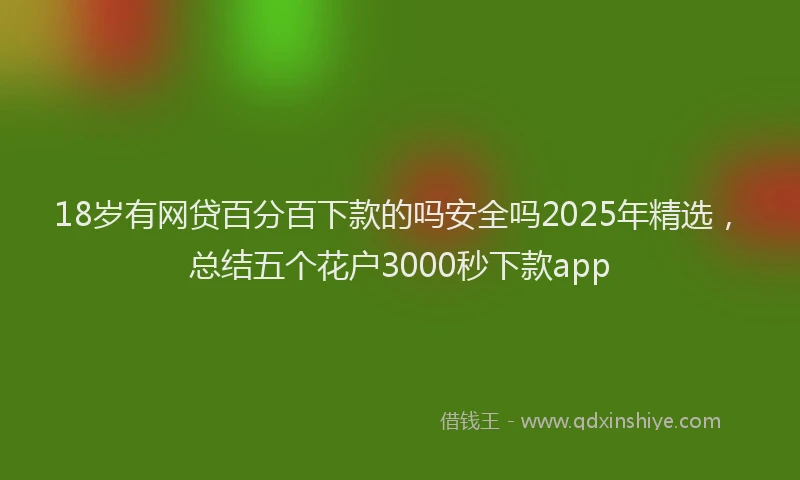 18岁有网贷百分百下款的吗安全吗2025年精选，总结五个花户3000秒下款app