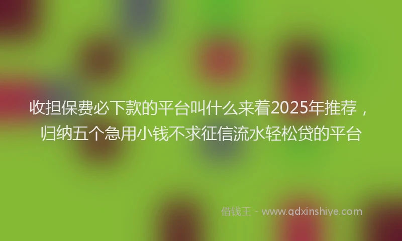 收担保费必下款的平台叫什么来着2025年推荐，归纳五个急用小钱不求征信流水轻松贷的平台