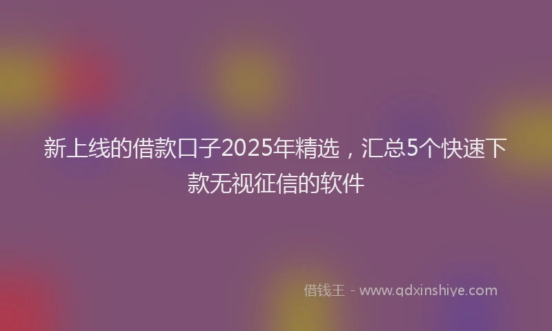 新上线的借款口子2025年精选，汇总5个快速下款无视征信的软件
