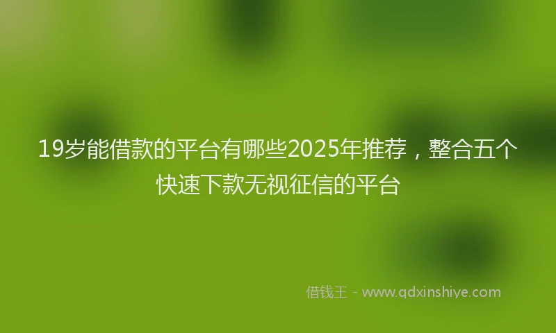 19岁能借款的平台有哪些2025年推荐，整合五个快速下款无视征信的平台