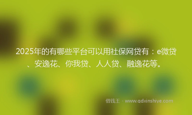 2025年的有哪些平台可以用社保网贷有：e微贷、安逸花、你我贷、人人贷、融逸花等。