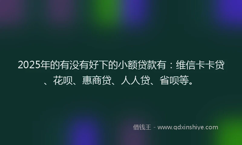 2025年的有没有好下的小额贷款有：维信卡卡贷、花呗、惠商贷、人人贷、省呗等。