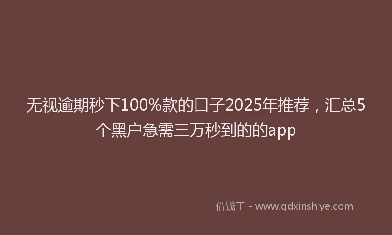 无视逾期秒下100%款的口子2025年推荐，汇总5个黑户急需三万秒到的的app