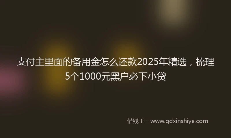 支付主里面的备用金怎么还款2025年精选，梳理5个1000元黑户必下小贷