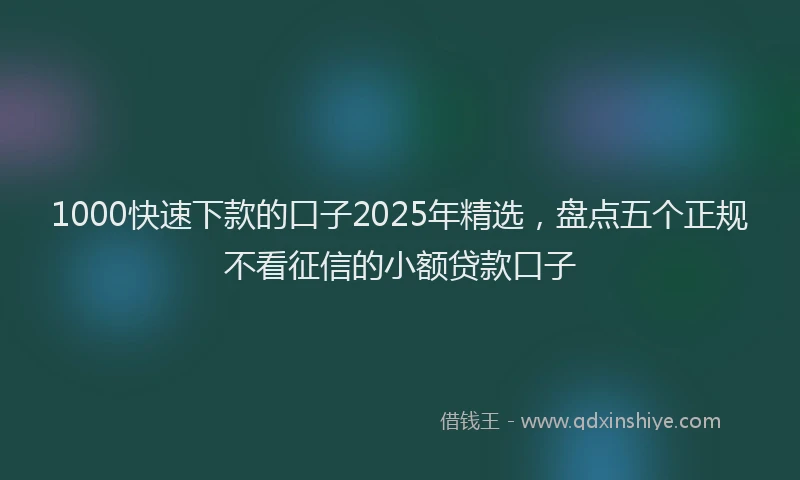 1000快速下款的口子2025年精选，盘点五个正规不看征信的小额贷款口子
