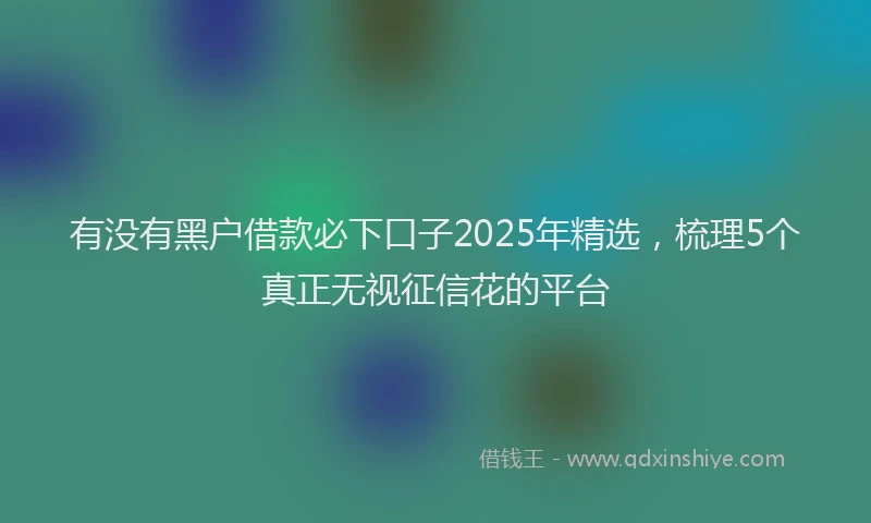 有没有黑户借款必下口子2025年精选，梳理5个真正无视征信花的平台
