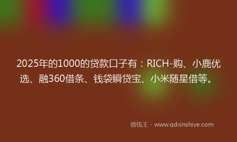2025年的1000的贷款口子有：RICH-购、小鹿优选、融360借条、钱袋瞬贷宝、小米随星借等。
