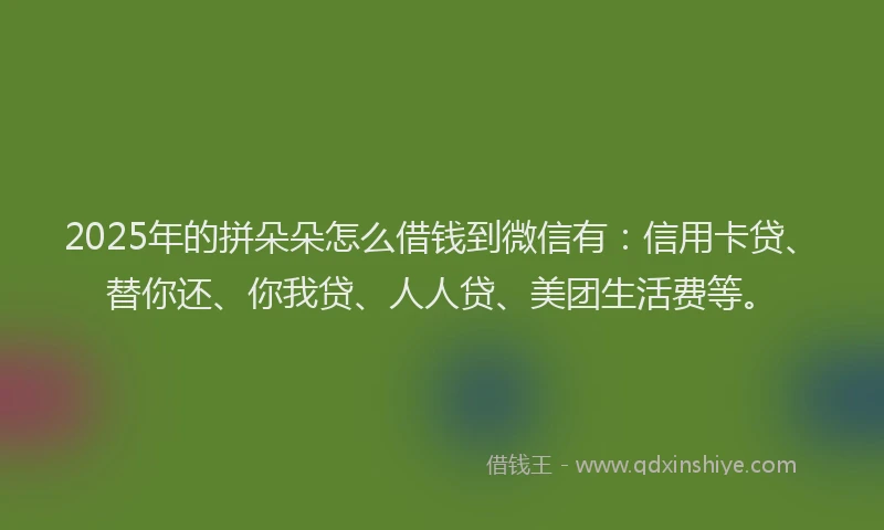 2025年的拼朵朵怎么借钱到微信有：信用卡贷、替你还、你我贷、人人贷、美团生活费等。