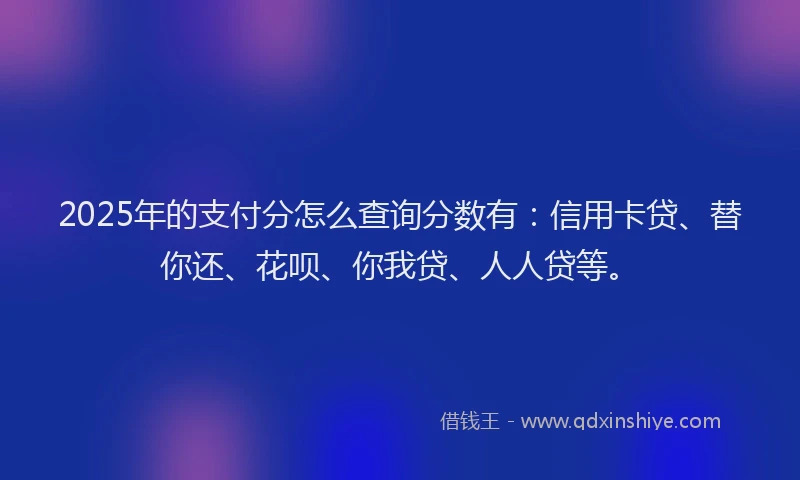 2025年的支付分怎么查询分数有：信用卡贷、替你还、花呗、你我贷、人人贷等。