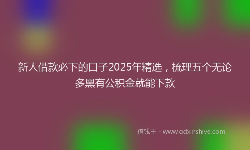 新人借款必下的口子2025年精选，梳理五个无论多黑有公积金就能下款