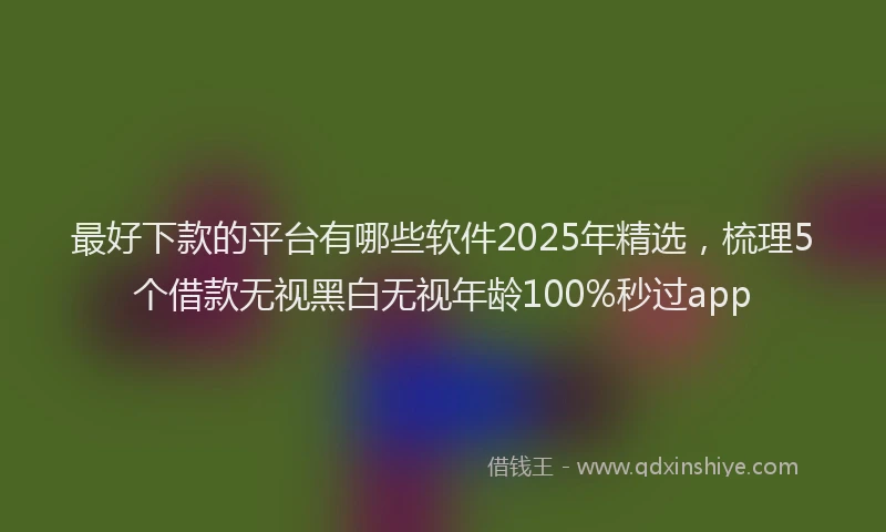 最好下款的平台有哪些软件2025年精选，梳理5个借款无视黑白无视年龄100%秒过app