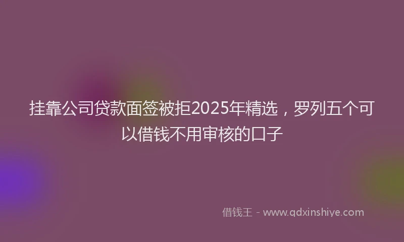 挂靠公司贷款面签被拒2025年精选，罗列五个可以借钱不用审核的口子