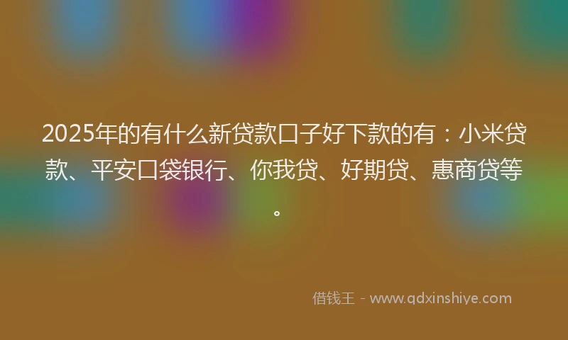 2025年的有什么新贷款口子好下款的有：小米贷款、平安口袋银行、你我贷、好期贷、惠商贷等。