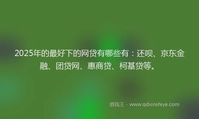 2025年的最好下的网贷有哪些有：还呗、京东金融、团贷网、惠商贷、柯基贷等。