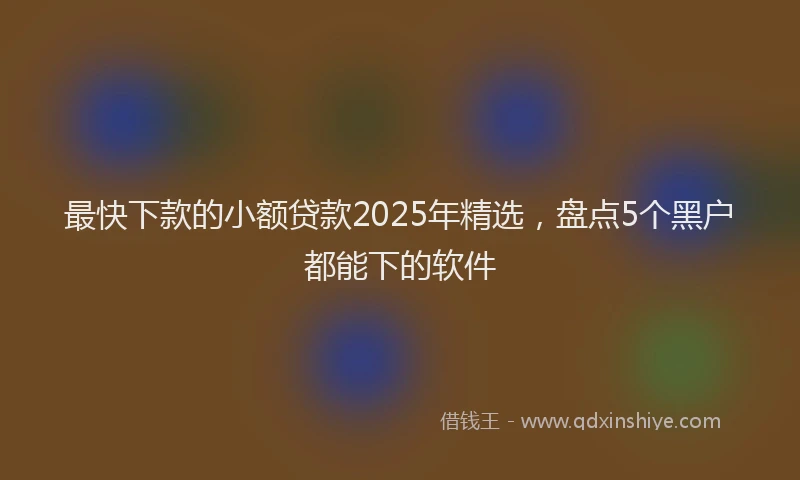 最快下款的小额贷款2025年精选，盘点5个黑户都能下的软件