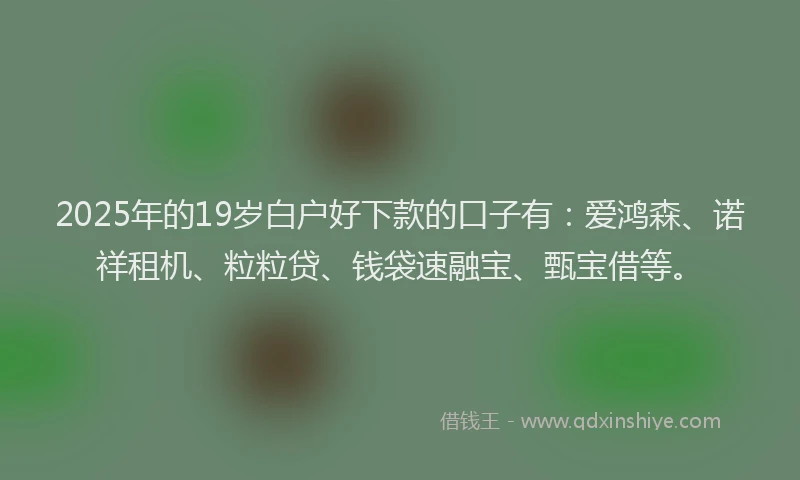 2025年的19岁白户好下款的口子有：爱鸿森、诺祥租机、粒粒贷、钱袋速融宝、甄宝借等。