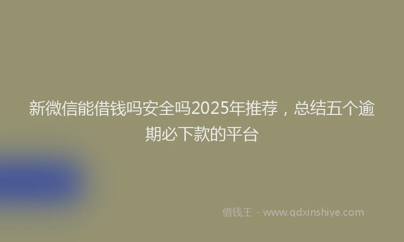 新微信能借钱吗安全吗2025年推荐，总结五个逾期必下款的平台