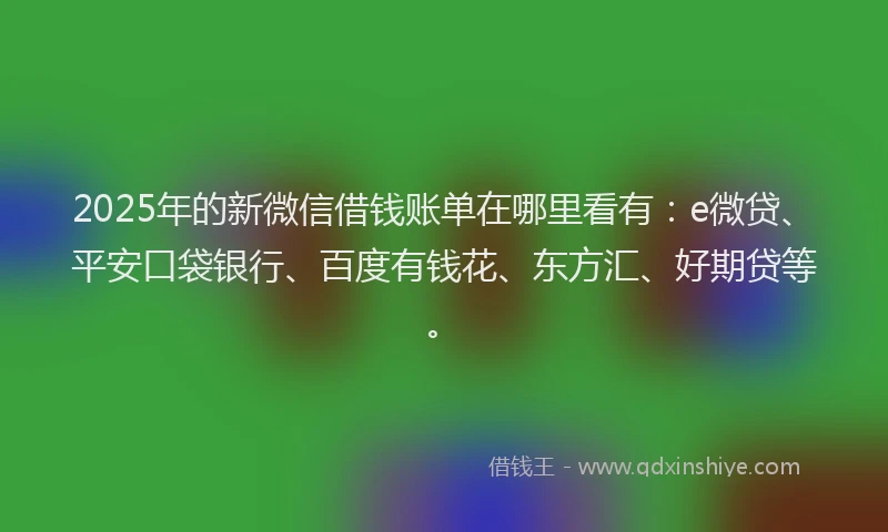 2025年的新微信借钱账单在哪里看有：e微贷、平安口袋银行、百度有钱花、东方汇、好期贷等。