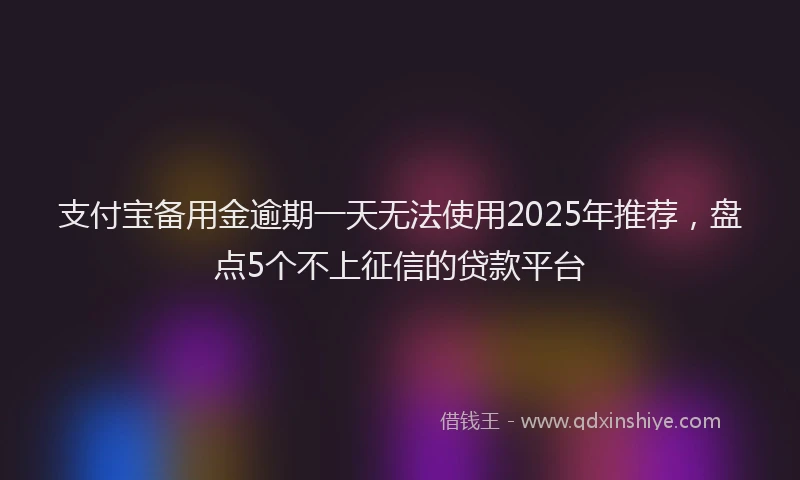 支付宝备用金逾期一天无法使用2025年推荐，盘点5个不上征信的贷款平台