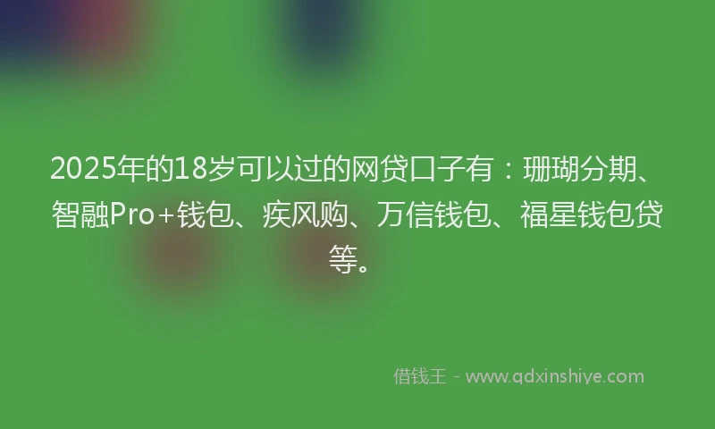 2025年的18岁可以过的网贷口子有：珊瑚分期、智融Pro+钱包、疾风购、万信钱包、福星钱包贷等。