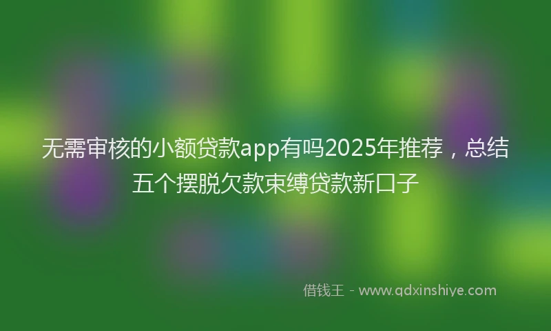 无需审核的小额贷款app有吗2025年推荐，总结五个摆脱欠款束缚贷款新口子