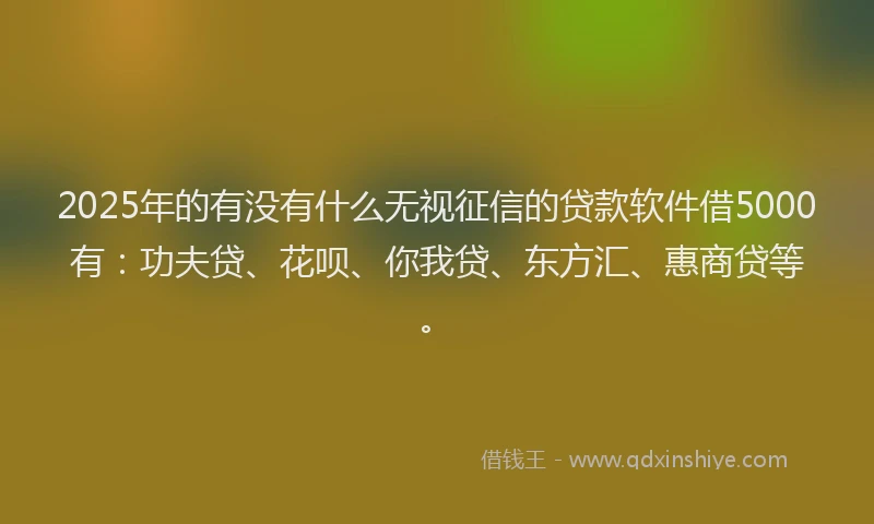 2025年的有没有什么无视征信的贷款软件借5000有：功夫贷、花呗、你我贷、东方汇、惠商贷等。
