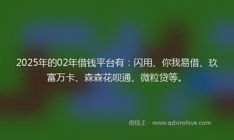 2025年的02年借钱平台有：闪用、你我易借、玖富万卡、森森花呗通、微粒贷等。