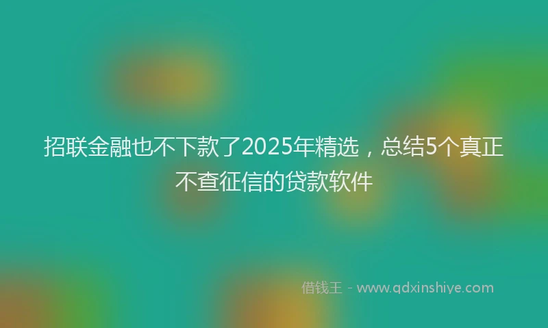 招联金融也不下款了2025年精选，总结5个真正不查征信的贷款软件