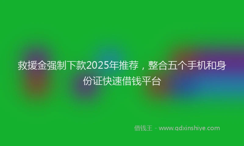 救援金强制下款2025年推荐，整合五个手机和身份证快速借钱平台