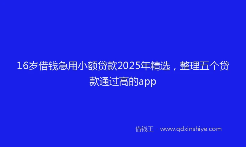 16岁借钱急用小额贷款2025年精选，整理五个贷款通过高的app